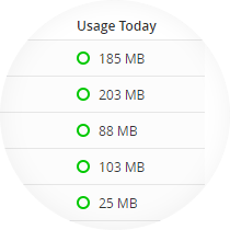 Network Usage